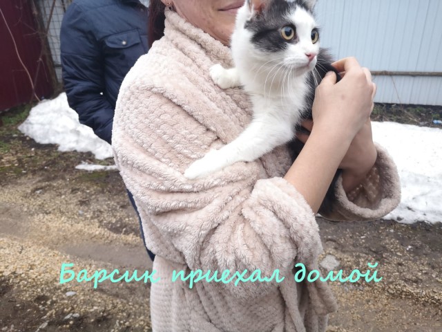 Жизнь домашнего приюта "Котоленд" 330
