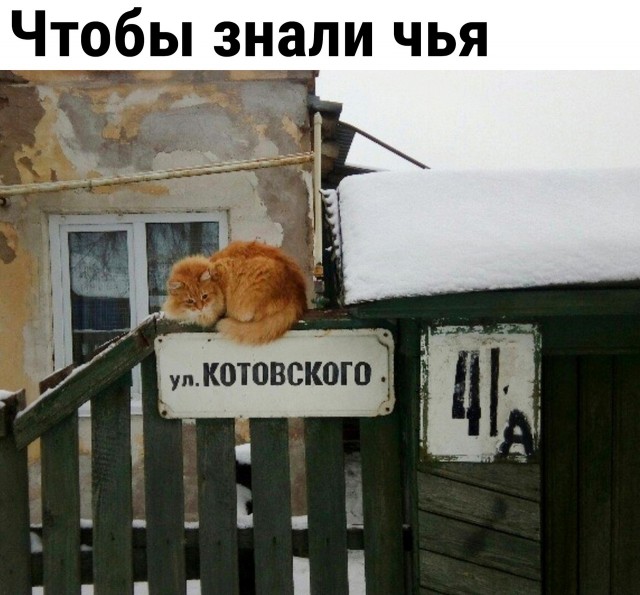 Так себе картинки 30.04.22