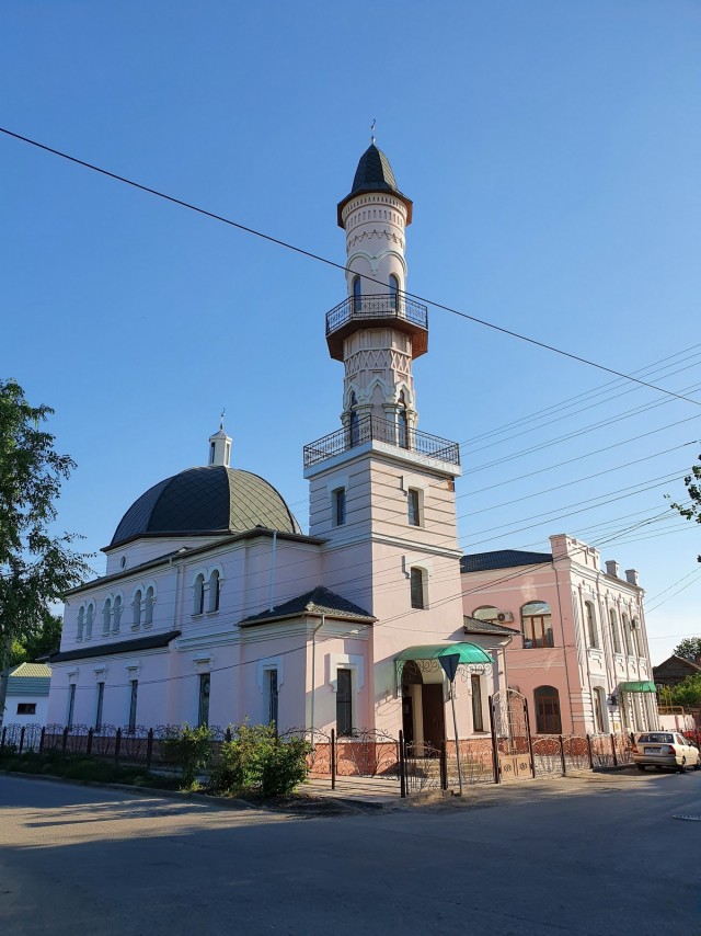 Астрахань – город «мёртвых» собак