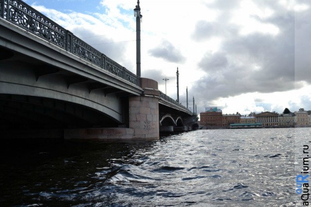 СПб глазами уставшего туриста...
