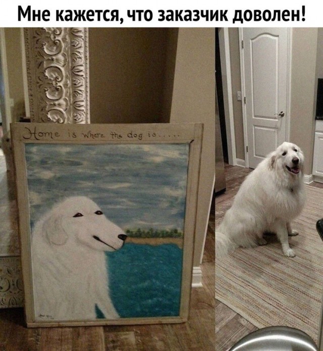 Картинки и мемы для настроения. Выходные рядышком...