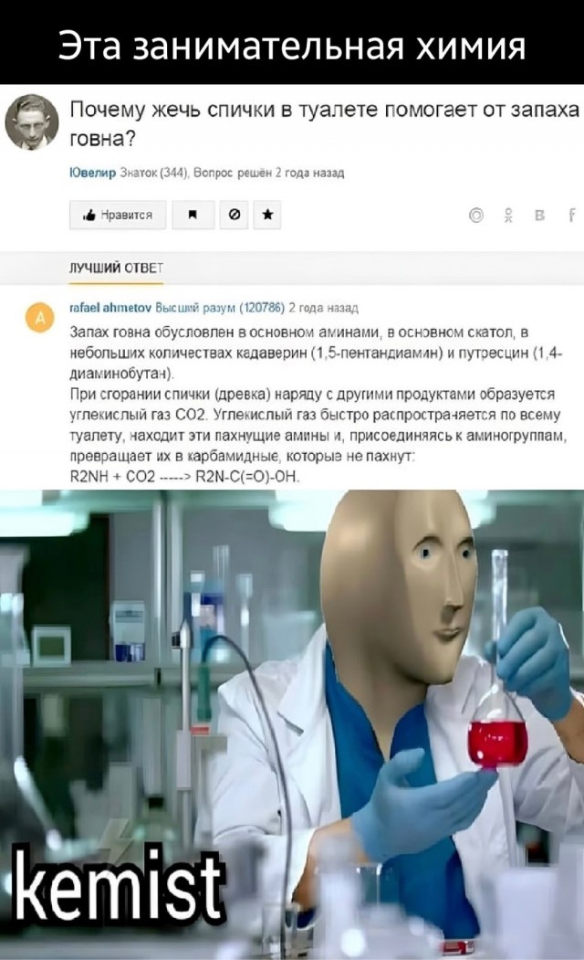 Весёлый полтишок 5.08.22