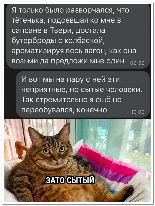 Забавные комментарии из социальных сетей (08.08.22)