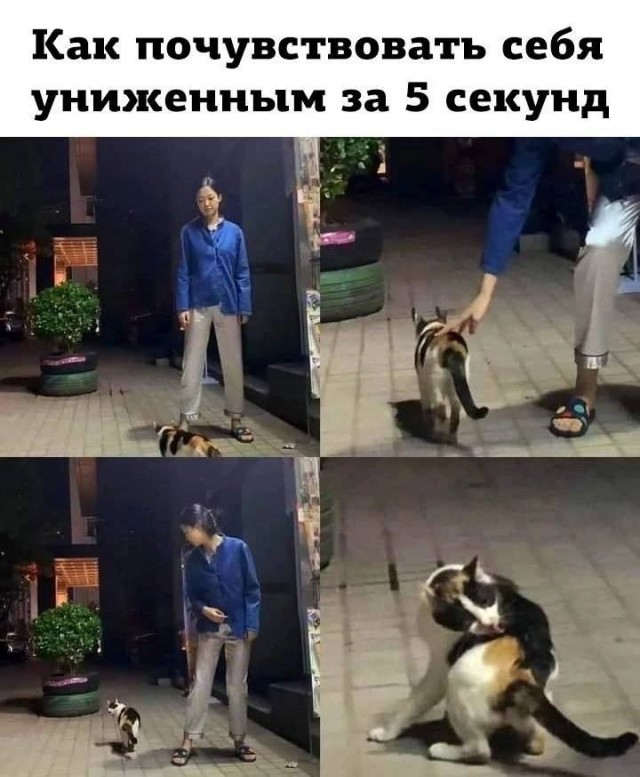 Немного мемчиков. Для взрослых 18+. Часть 11