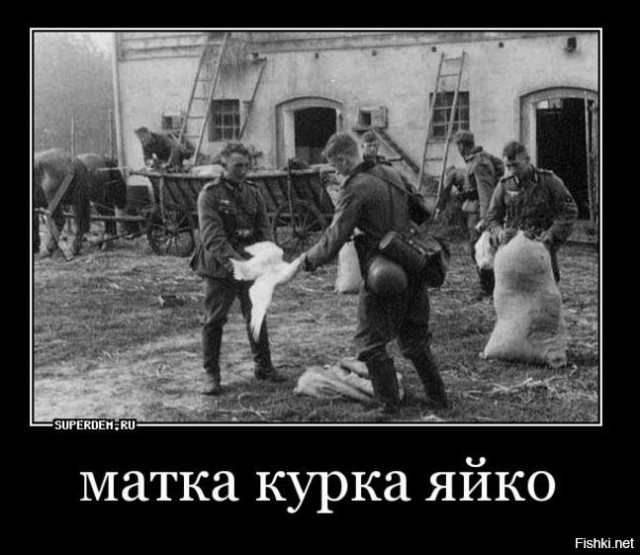 Польша и Германия захотели, чтобы Россия заплатила репарацию Украине