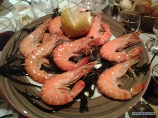 В поисках такси