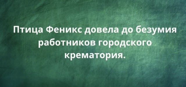 Весёлый полтишок 24.11.22