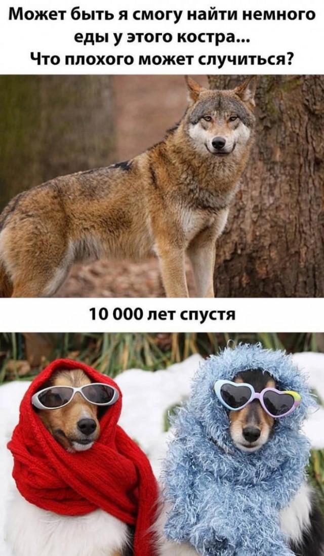 Картинки и мемы для настроения - 125