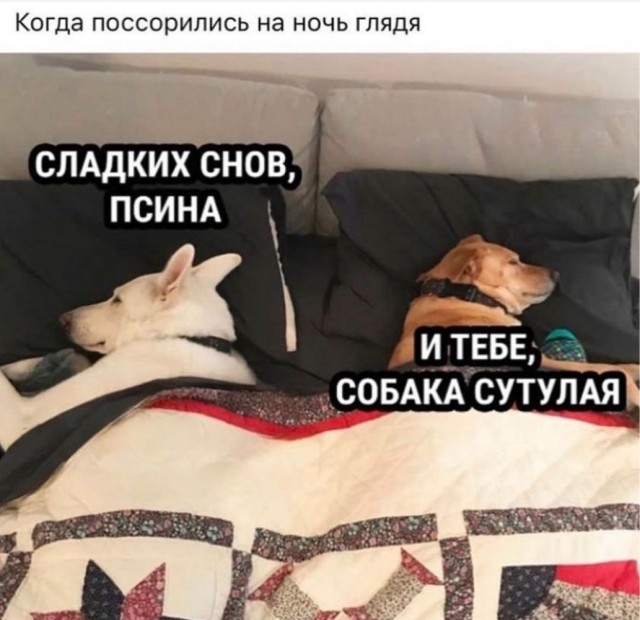 Картинки весёлые, вроде