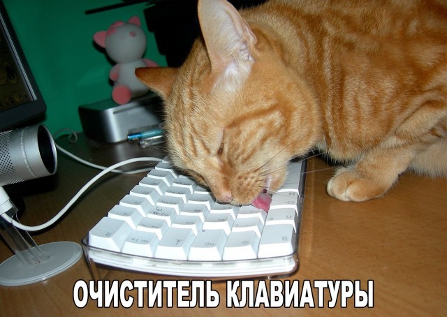 Картинки и мемы, всяко разно - 181