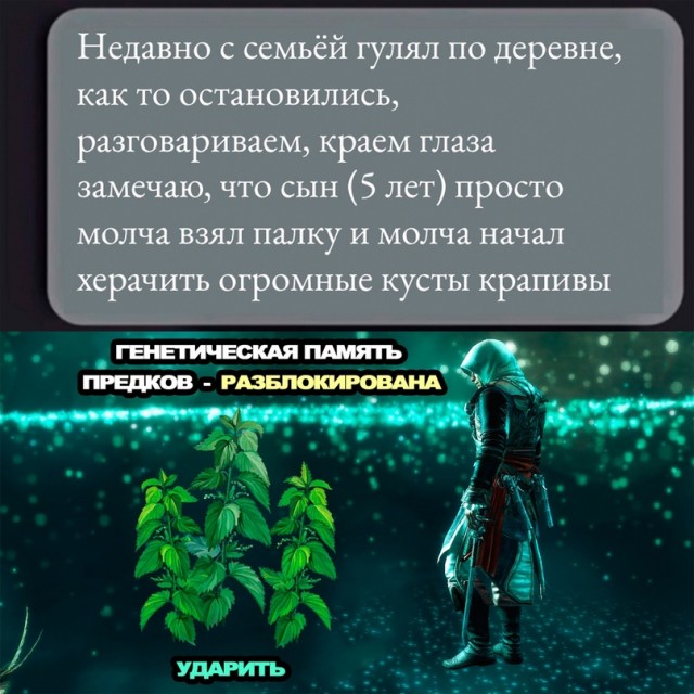 Весёлый полтишок 12.07 23