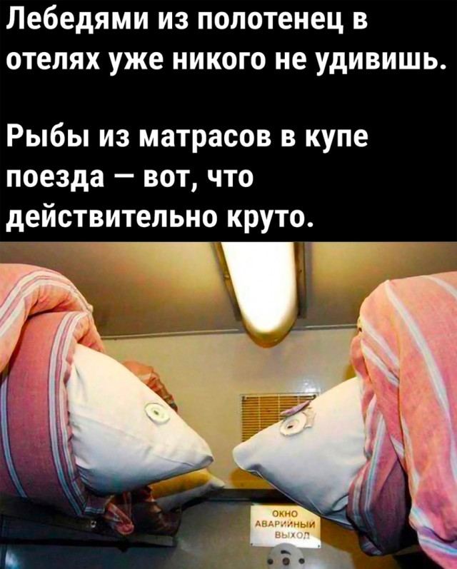 Так себе картинки 28.07.23