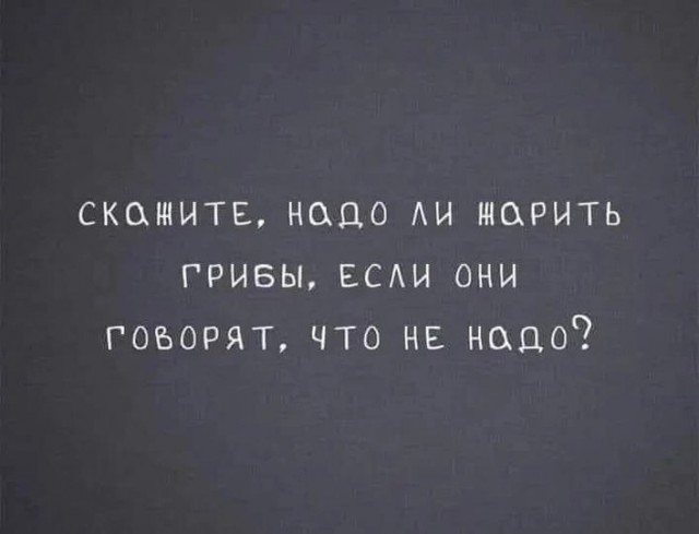 Нуштош 15.08.2023