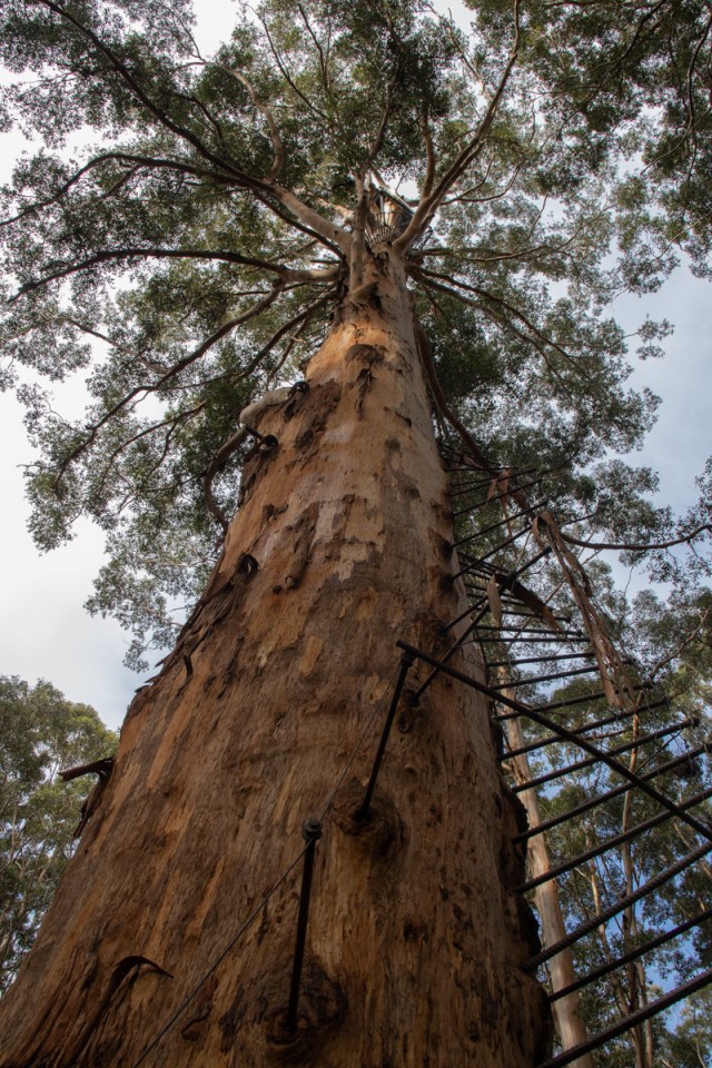Австралия Западная. Из лета в зиму