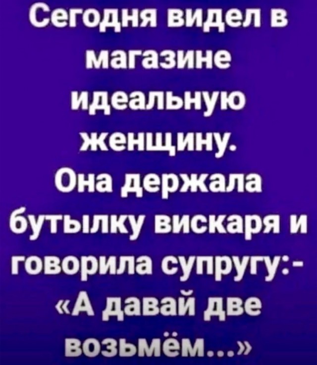 Котики, панки и дестрой