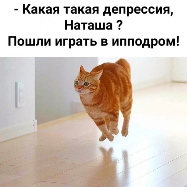 Тлидцать тли от 14 маЛта