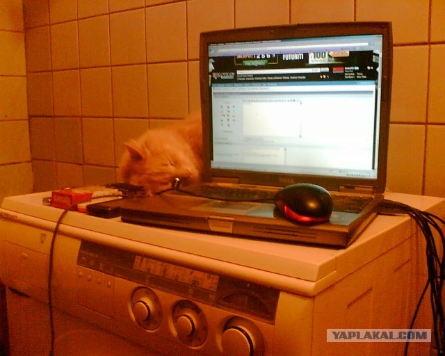 По прозвищу Тихон