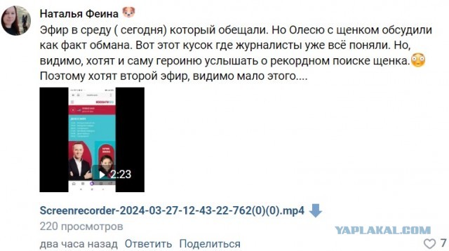 Побирушницы нажились на теракте в Крокусе