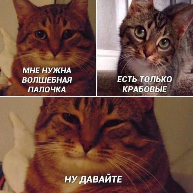 Сборник бабаянов и т.д. и т.п.