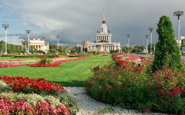 Прикольные и просто красивые картинки 29.10.2024
