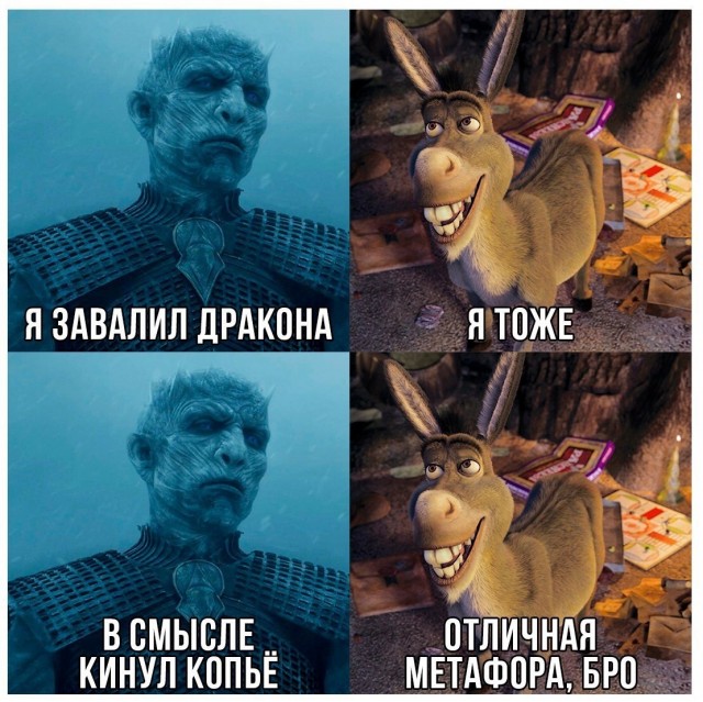 Потерявшийся осел, был замечен спустя 5 лет проживающим в компании лосих