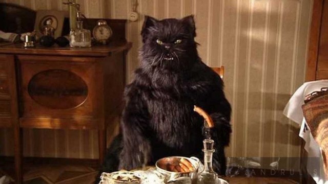 Кот с человеческим лицом.