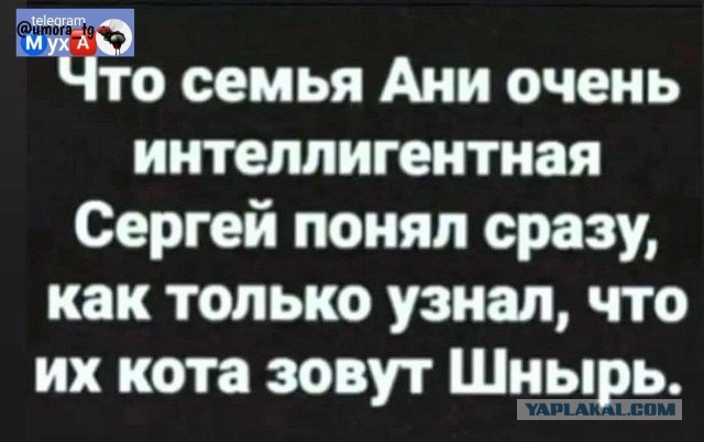 18 печальных картинок.