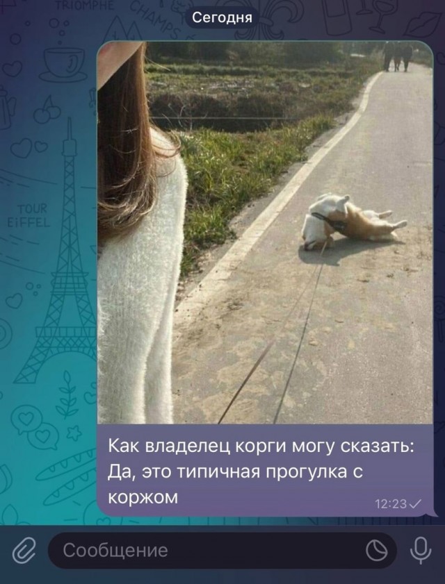 Так себе картинки 08.02.25