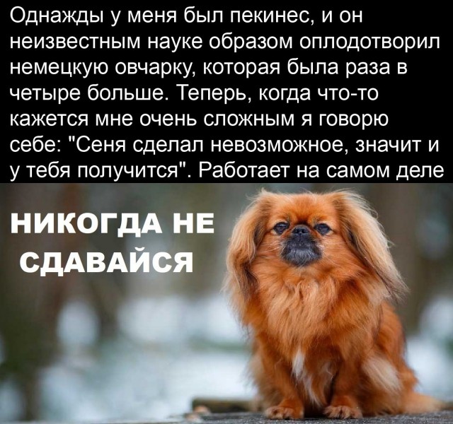 Так себе картинки 27.02.25