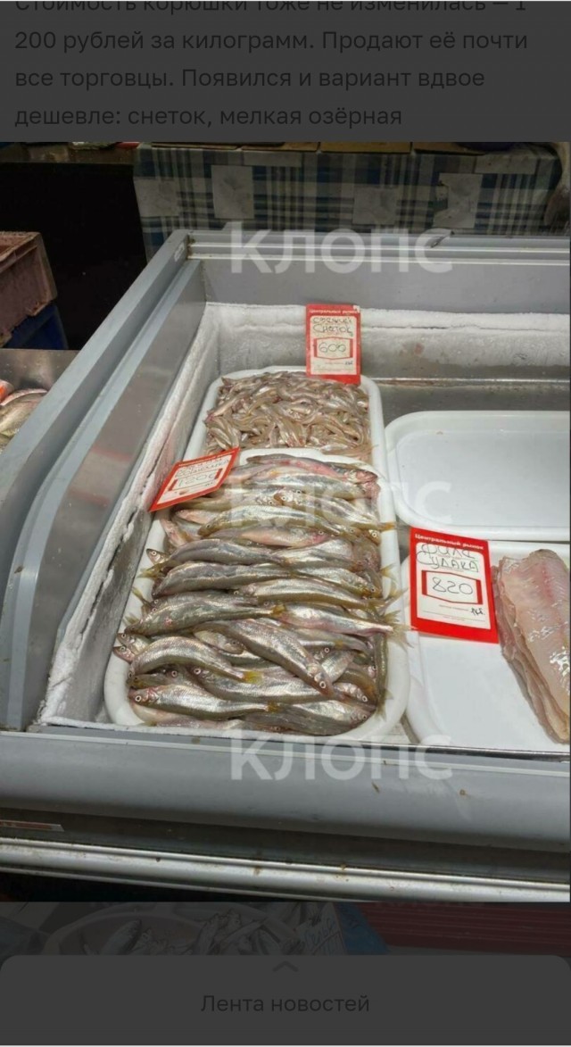 Сколько стоит корюшка в городах, где её ловят? Ответ здесь, и вы удивитесь.