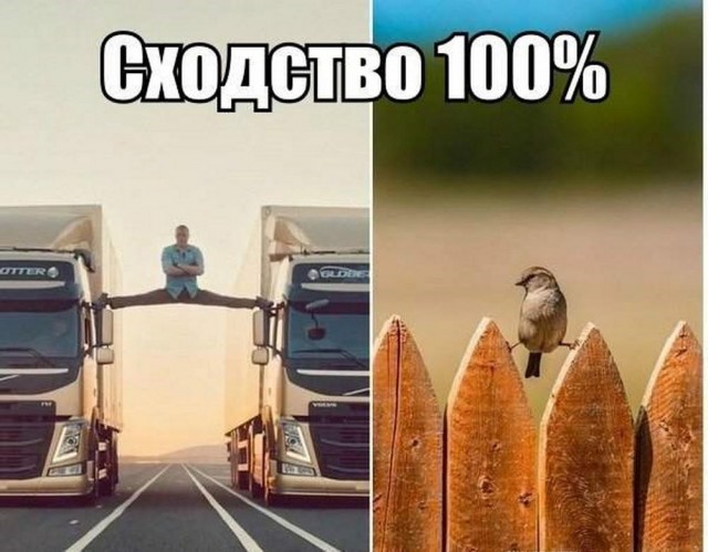 Ну, разбавим вторник позитивом!