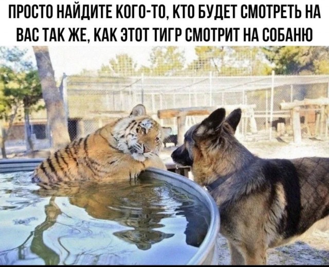 Заглянул на ужин