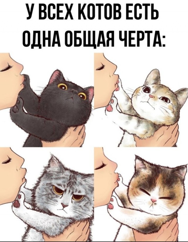 Так себе картинки 14.06.25