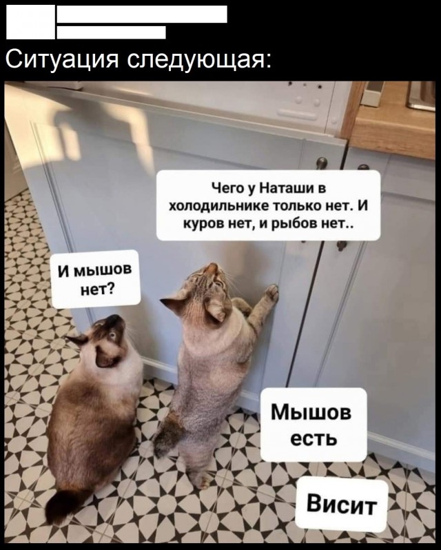 Так себе картинки 10.07.25