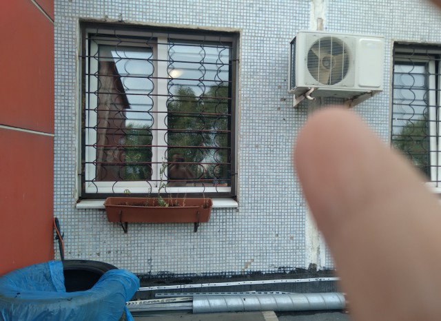 Вопрос про петуньи.