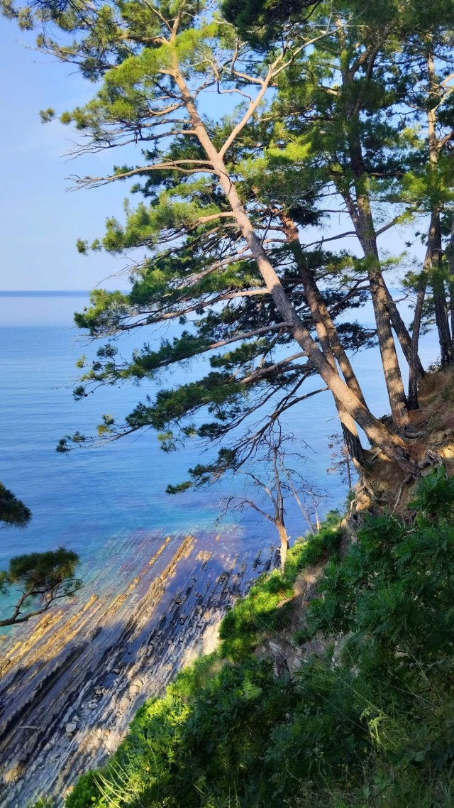 Литболталка