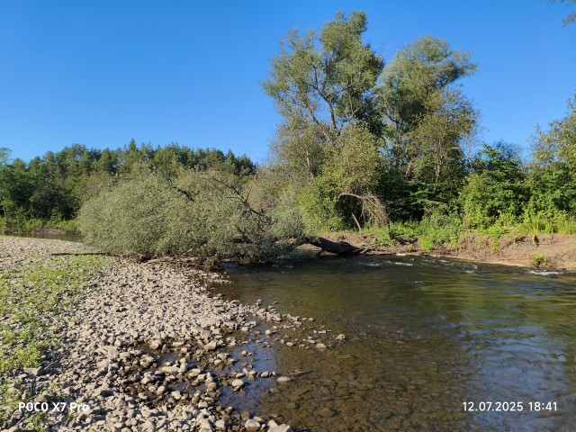 Сплав