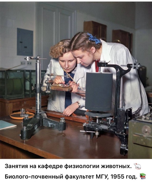 ​ Фотографии из прошлого нашей страны – 118