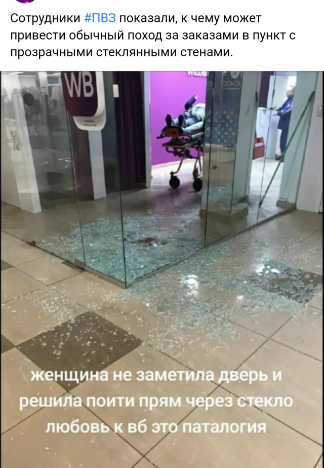 Веселое настроение в картинках (28.10.2025)