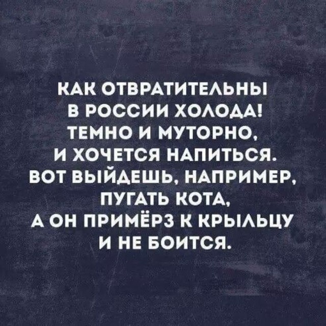 Прикольные и просто красивые картинки 25.11.2025