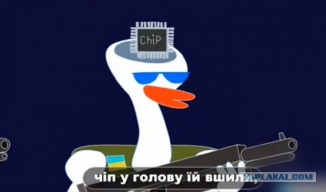 Голубей-дронов изобрели в России — они будут защищать ЛЭП и газораспределительные узлы