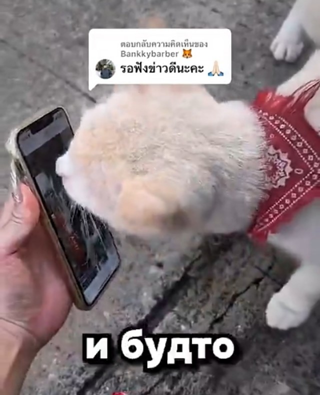 Помогите найти