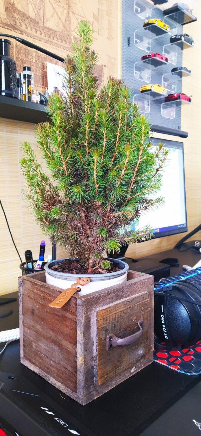 Держусь! Но силы на исходе