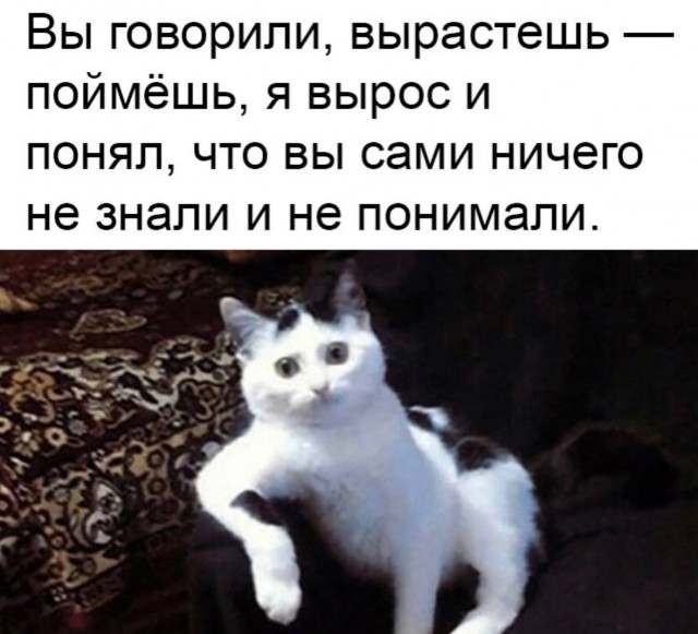 Воскресные картинки