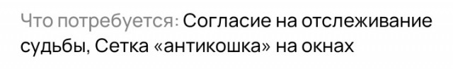 Подборка кошачьих, которые стали никому не нужны