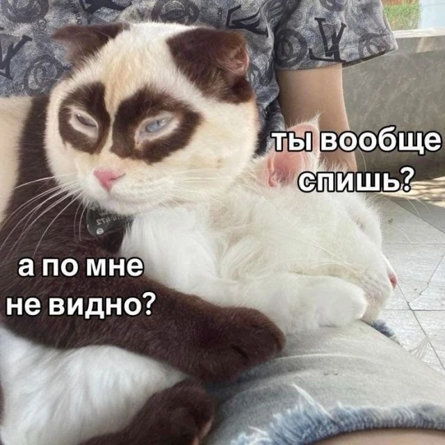 Среды картинки