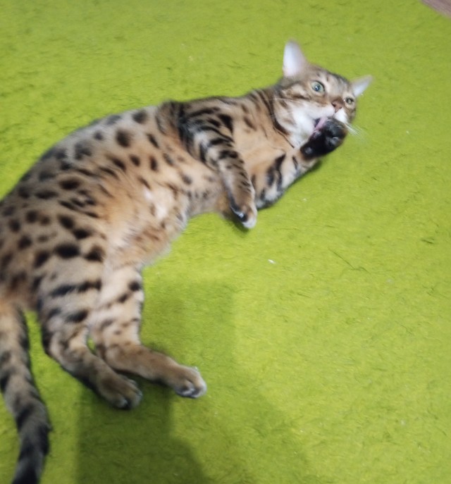 Скучно?