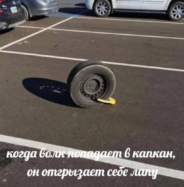 Картинки для деградации 217 (разной степени свежести)