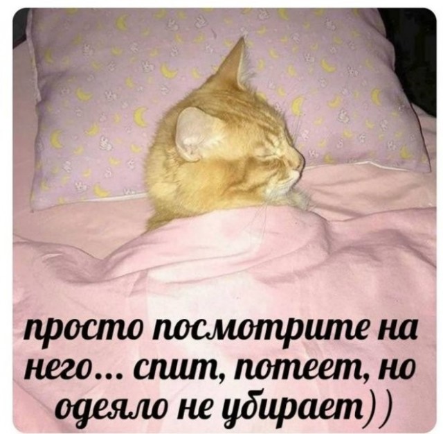 Так себе картинки 11.07.26
