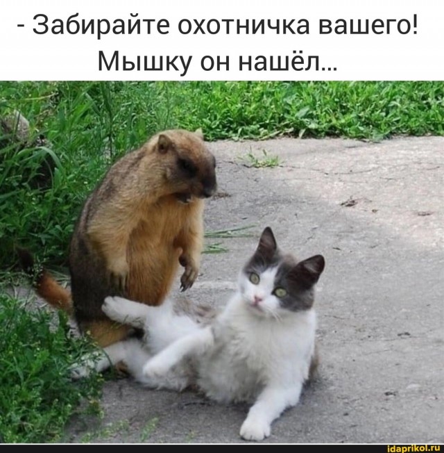 Такой маленький, а уже добытчик в семье